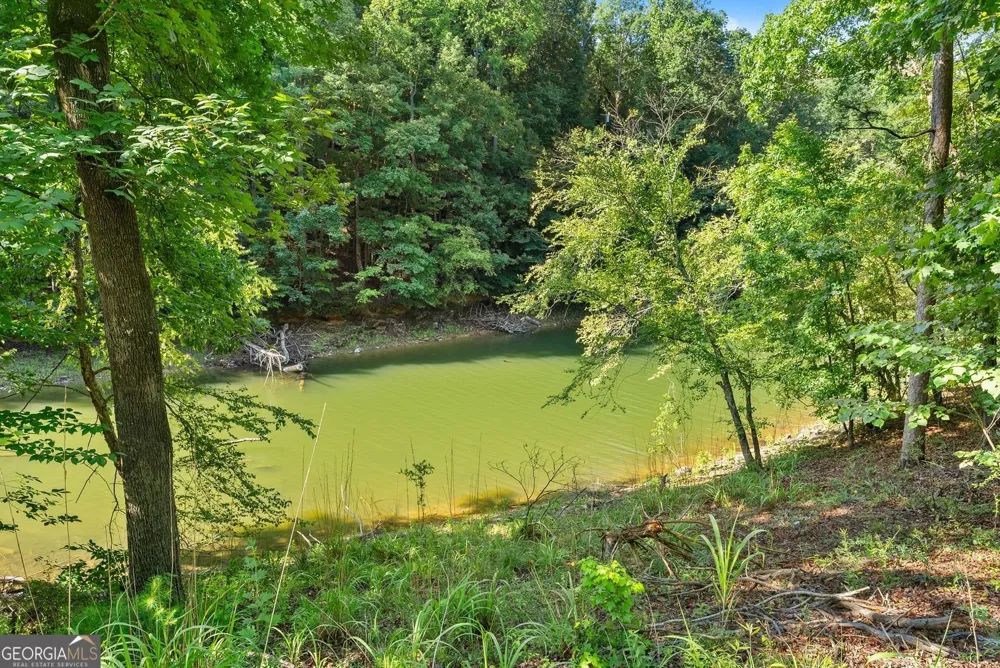 3199 Lotheridge RD Gainesville, GA 30501