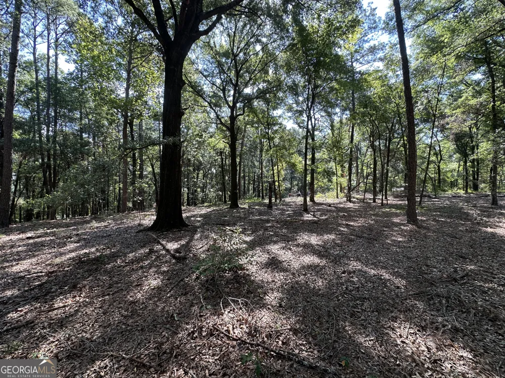 3852 Poor Robin RD Sylvania, GA 30467