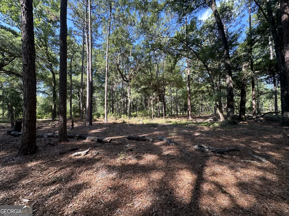 3852 Poor Robin RD Sylvania, GA 30467