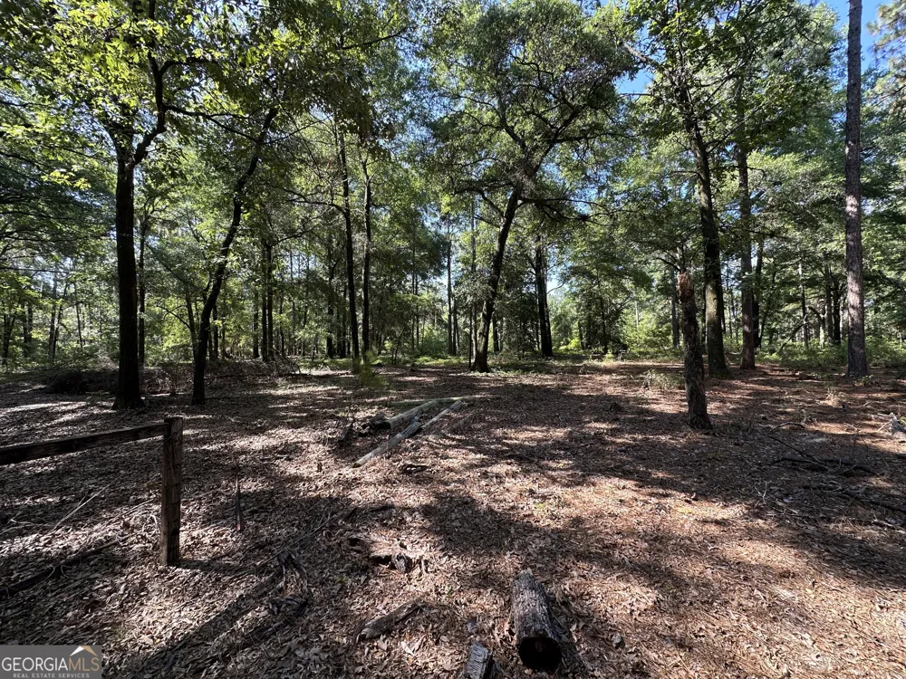 3852 Poor Robin RD Sylvania, GA 30467