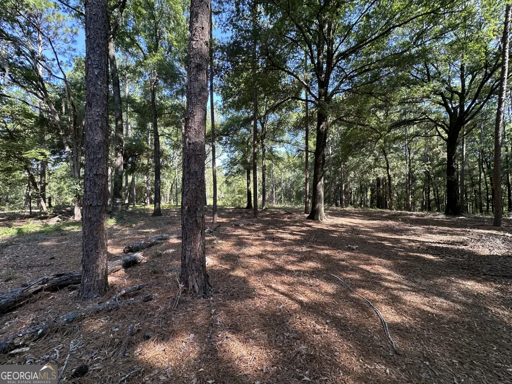 3852 Poor Robin RD Sylvania, GA 30467