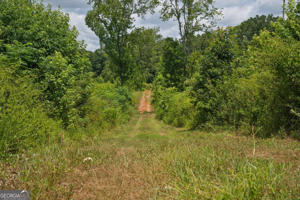 47 Askin Place Culloden, GA 31016