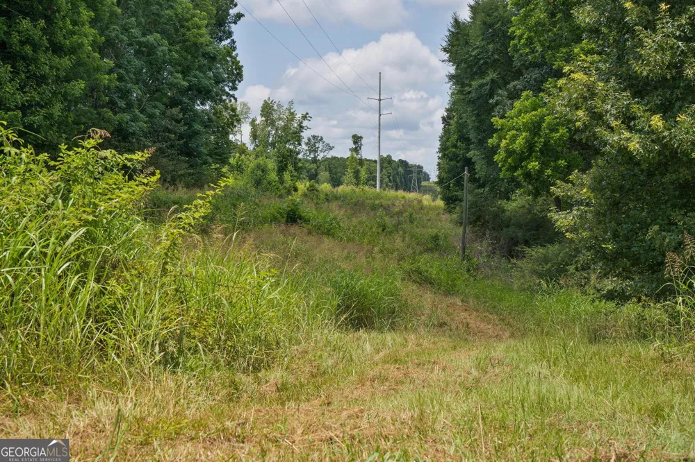 61 Askin Place Culloden, GA 31016