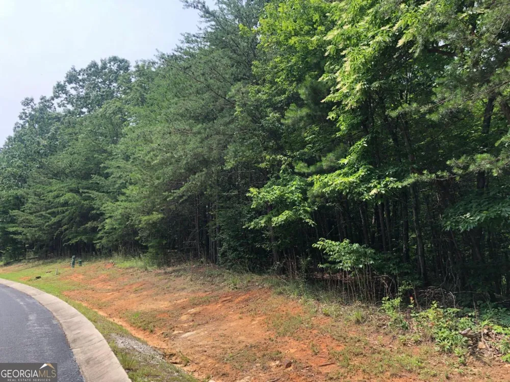 1613 Duchess LN Clarkesville, GA 30523
