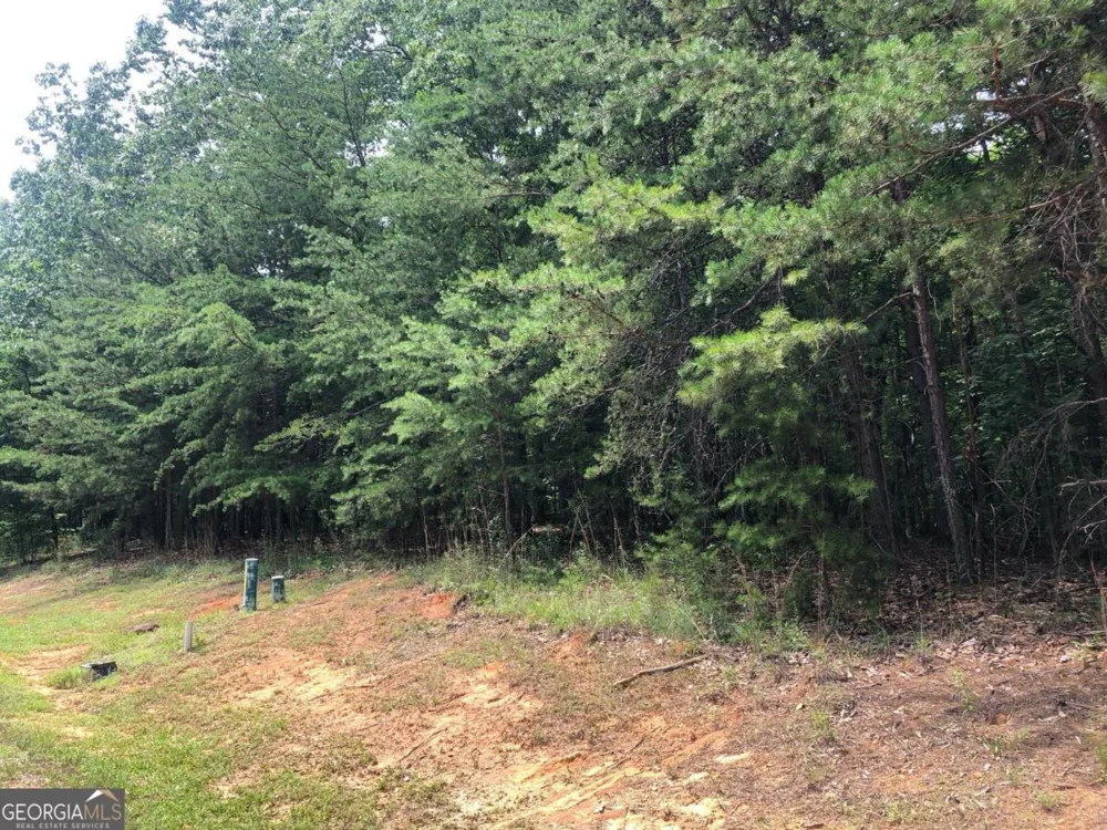 1613 Duchess LN Clarkesville, GA 30523
