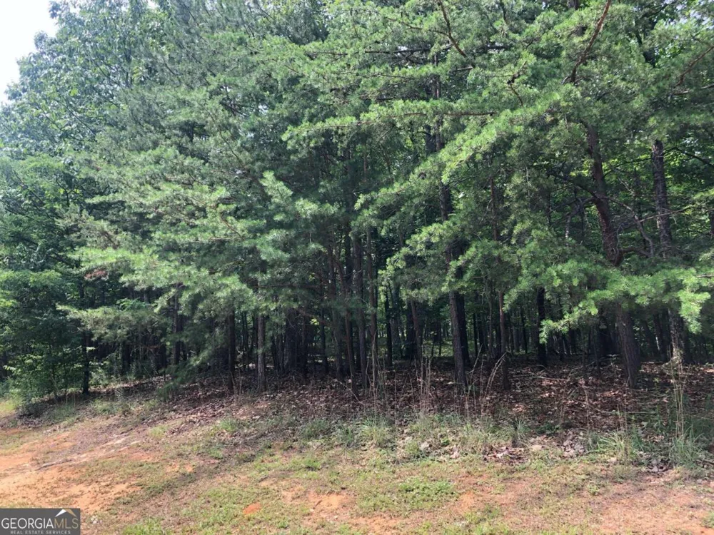 1613 Duchess LN Clarkesville, GA 30523