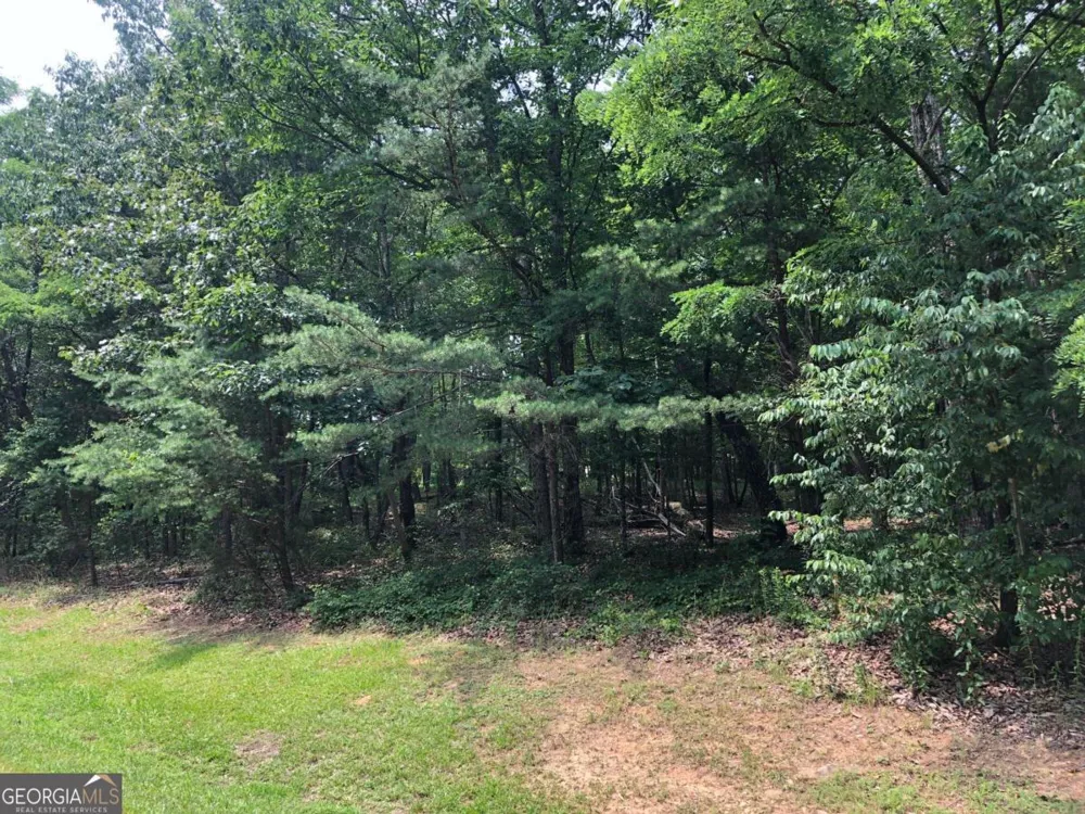 1613 Duchess LN Clarkesville, GA 30523