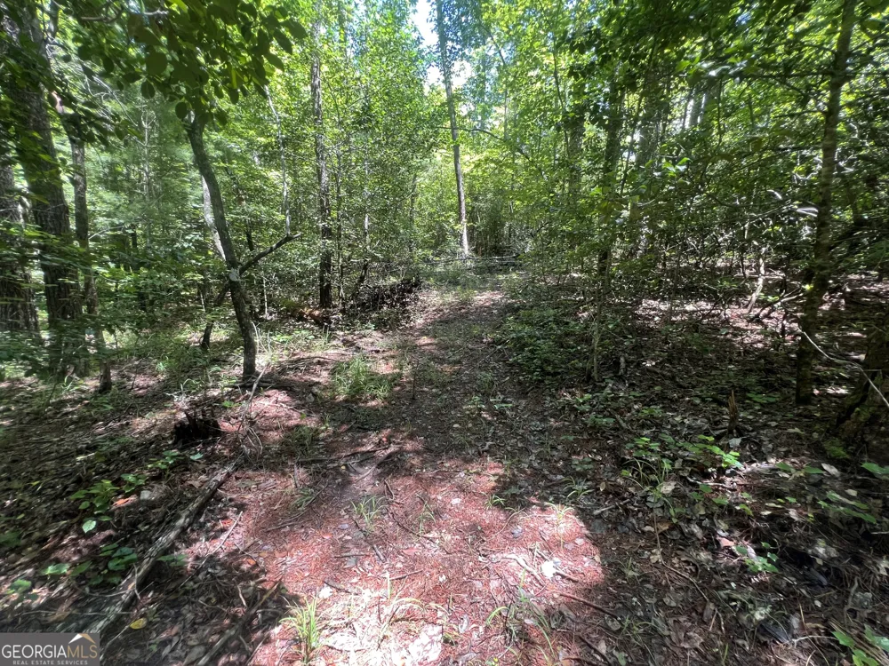80 Windchase LN Sautee Nacoochee, GA 30571