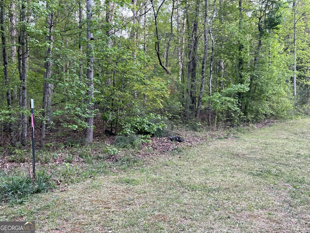 0 Goldfinch DR Covington, GA 30016