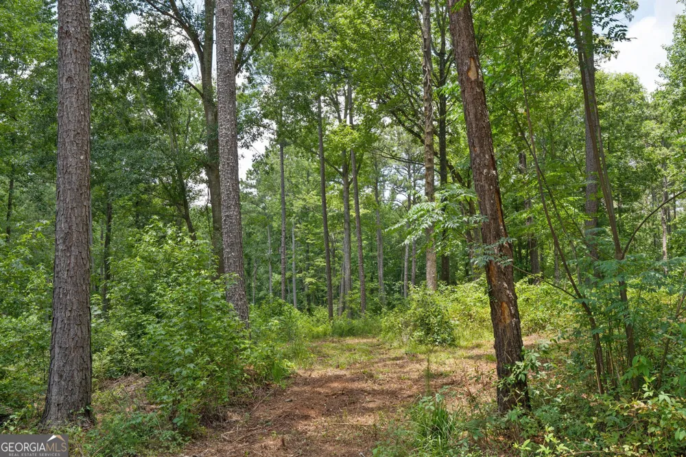 85 Askin Place Culloden, GA 31016