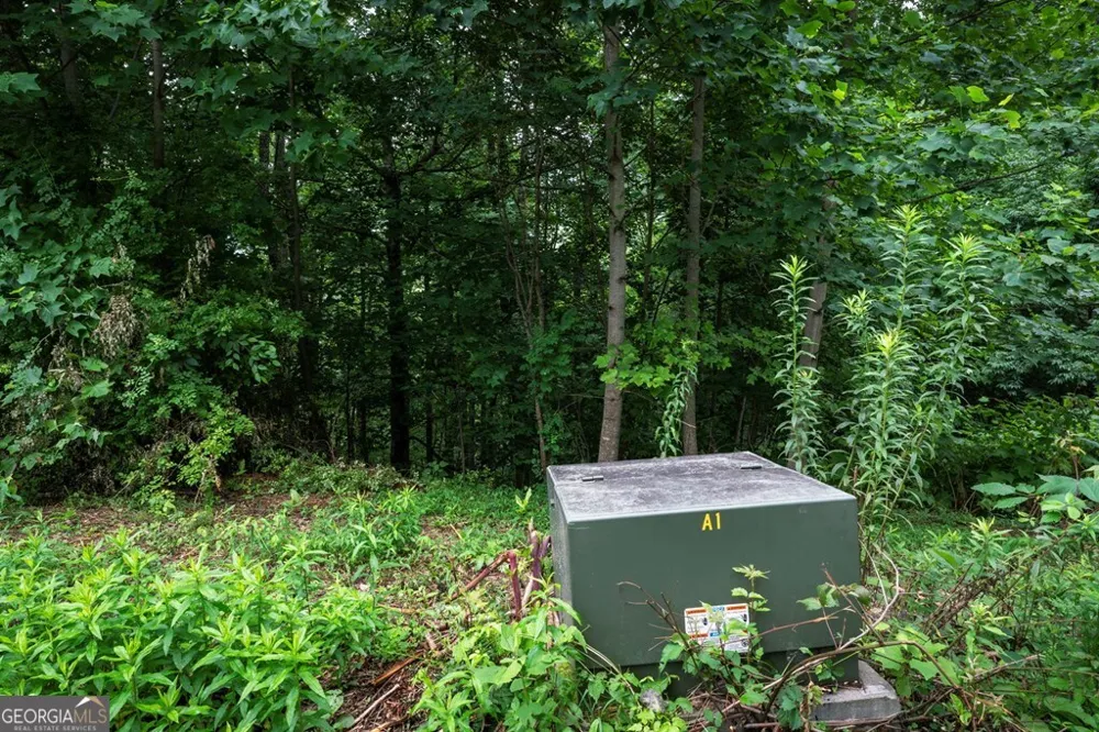 235 Rios DR Bryson City, NC 28713