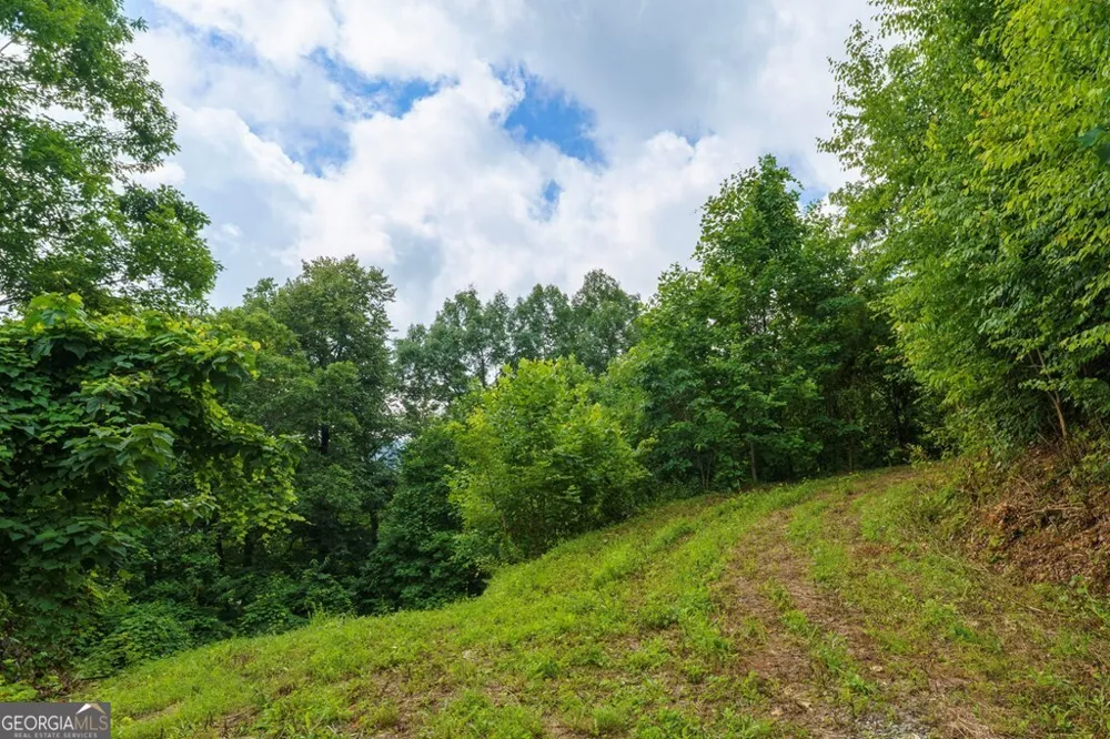 235 Rios DR Bryson City, NC 28713