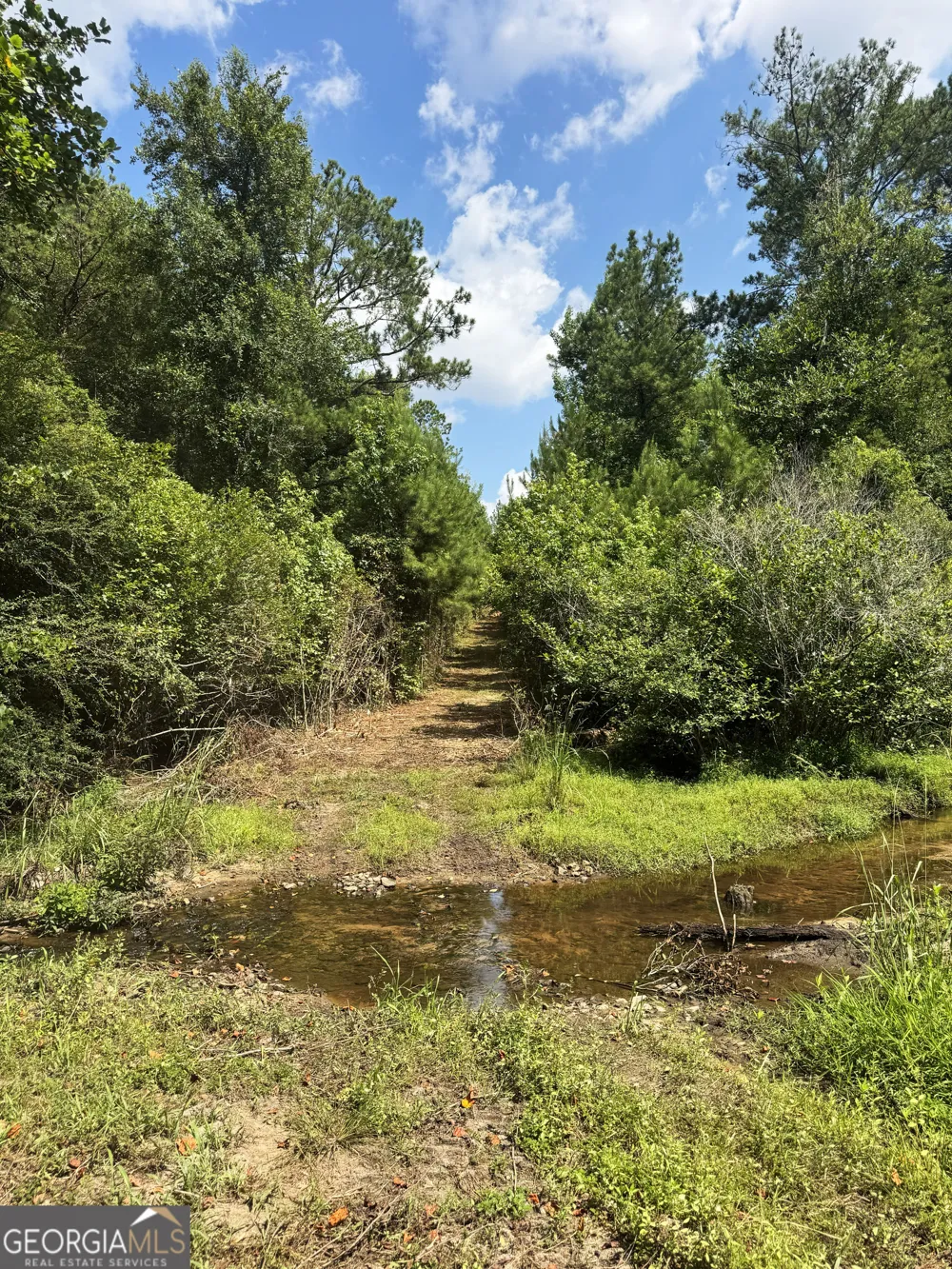 0 Wooten RD Cuthbert, GA 39840