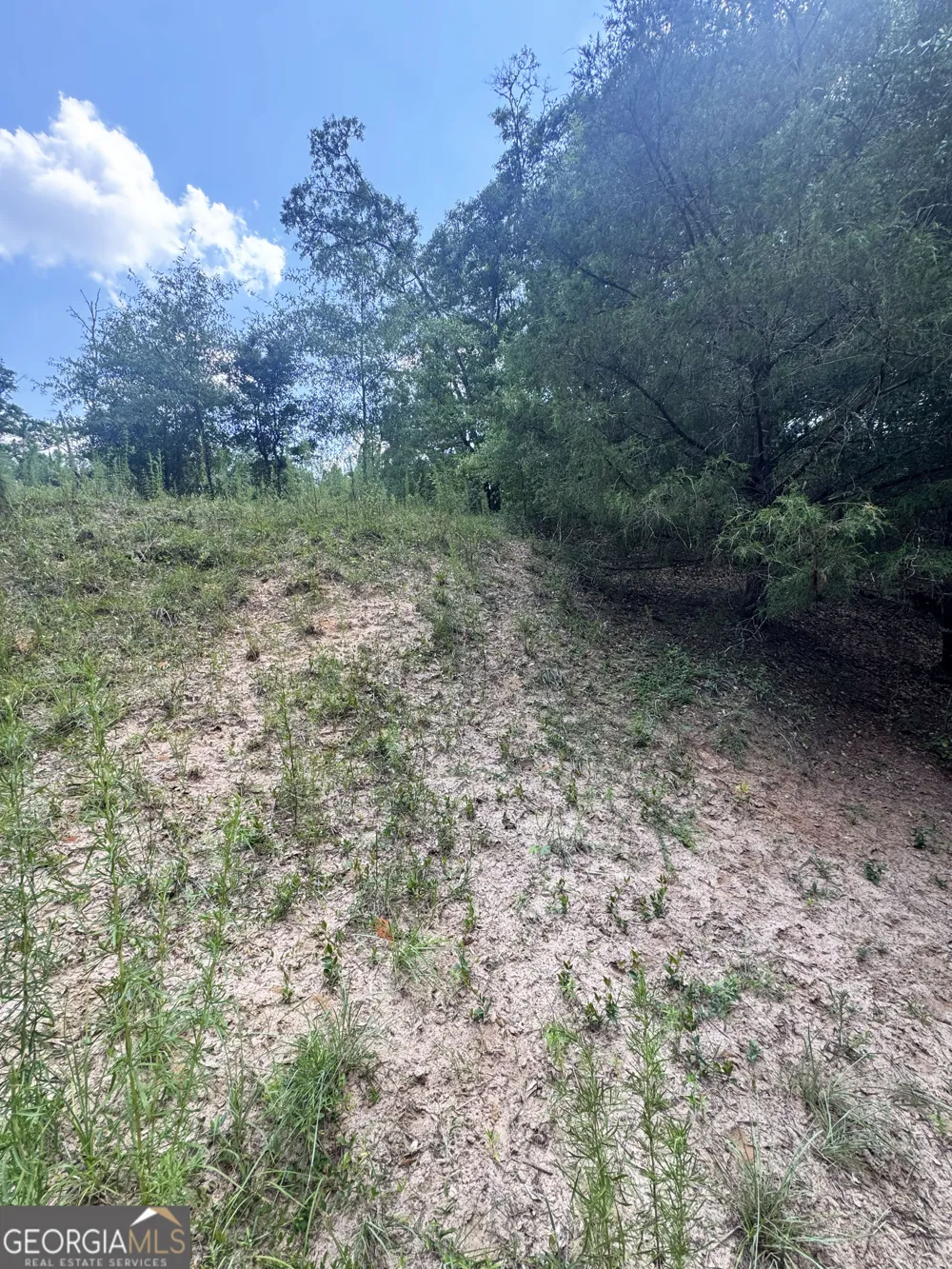 0 Wooten RD Cuthbert, GA 39840