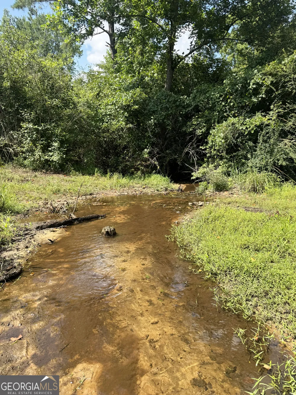 0 Wooten RD Cuthbert, GA 39840