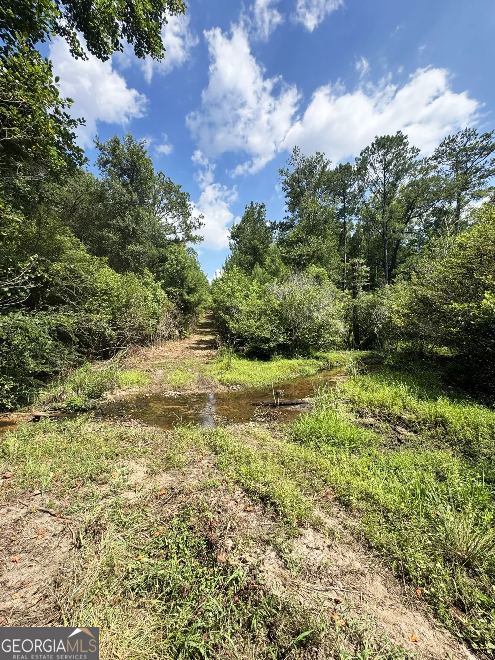 0 Wooten RD Cuthbert, GA 39840