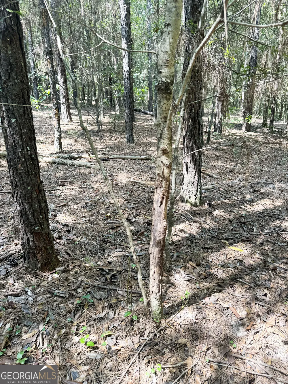 0 Wooten RD Cuthbert, GA 39840