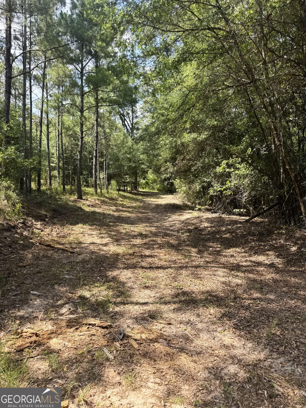 0 Wooten RD Cuthbert, GA 39840