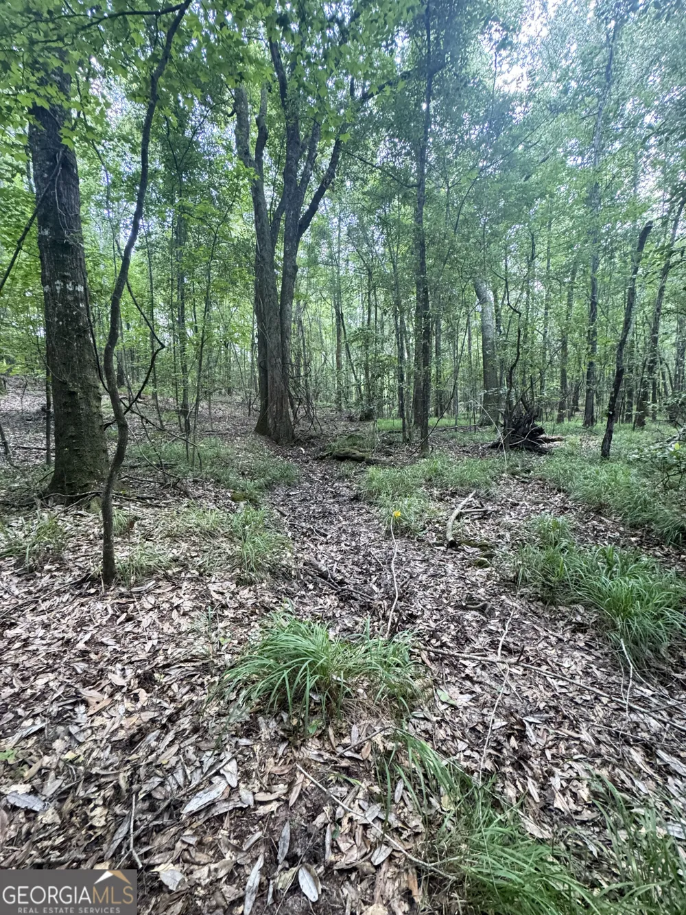 0 Wooten RD Cuthbert, GA 39840
