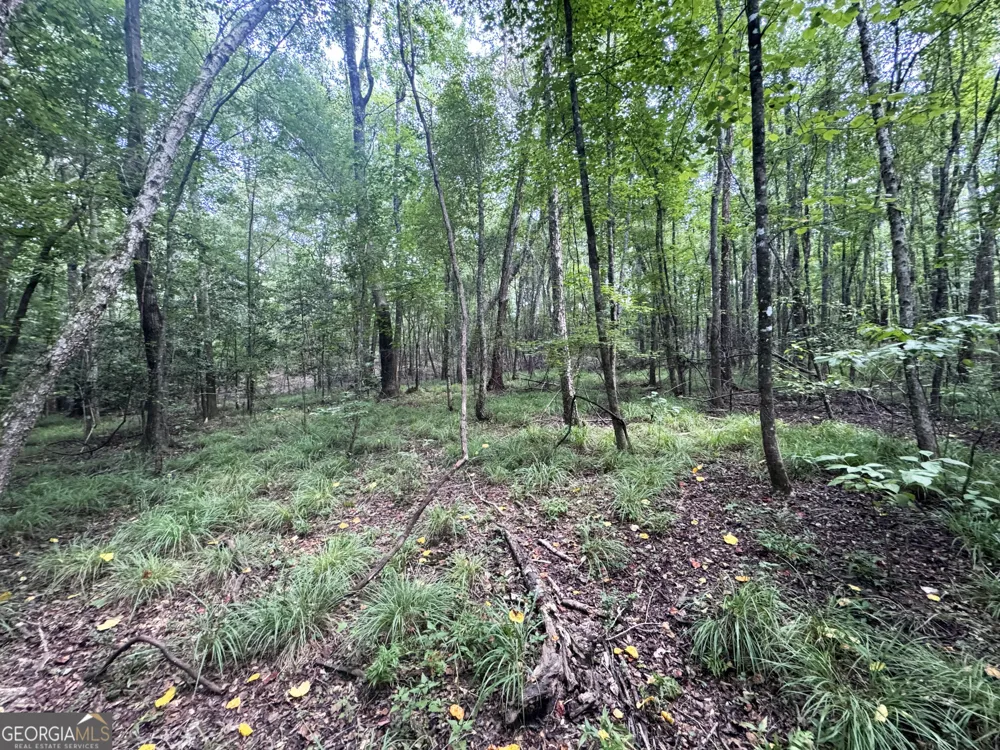 0 Wooten RD Cuthbert, GA 39840