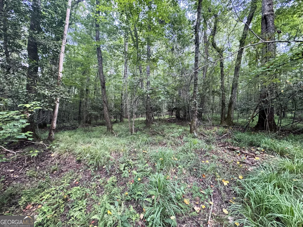 0 Wooten RD Cuthbert, GA 39840