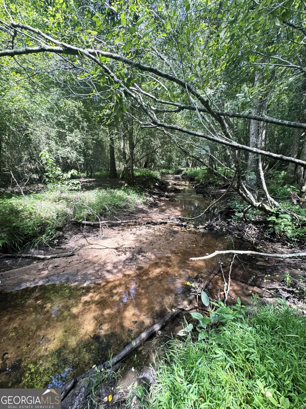 0 Wooten RD Cuthbert, GA 39840