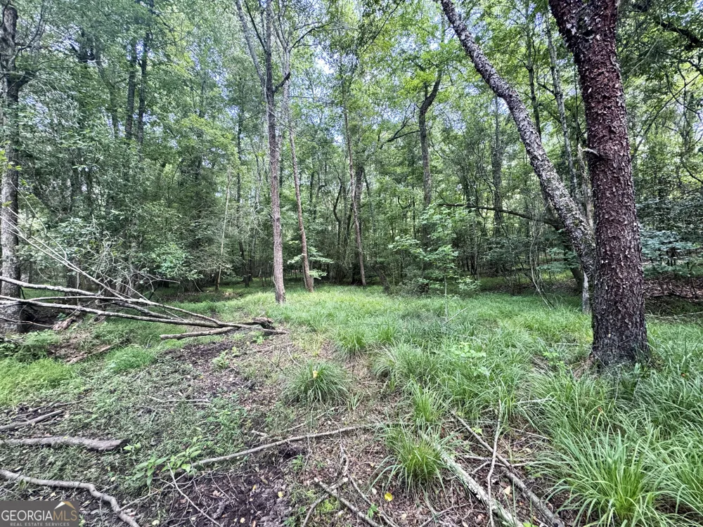 0 Wooten RD Cuthbert, GA 39840