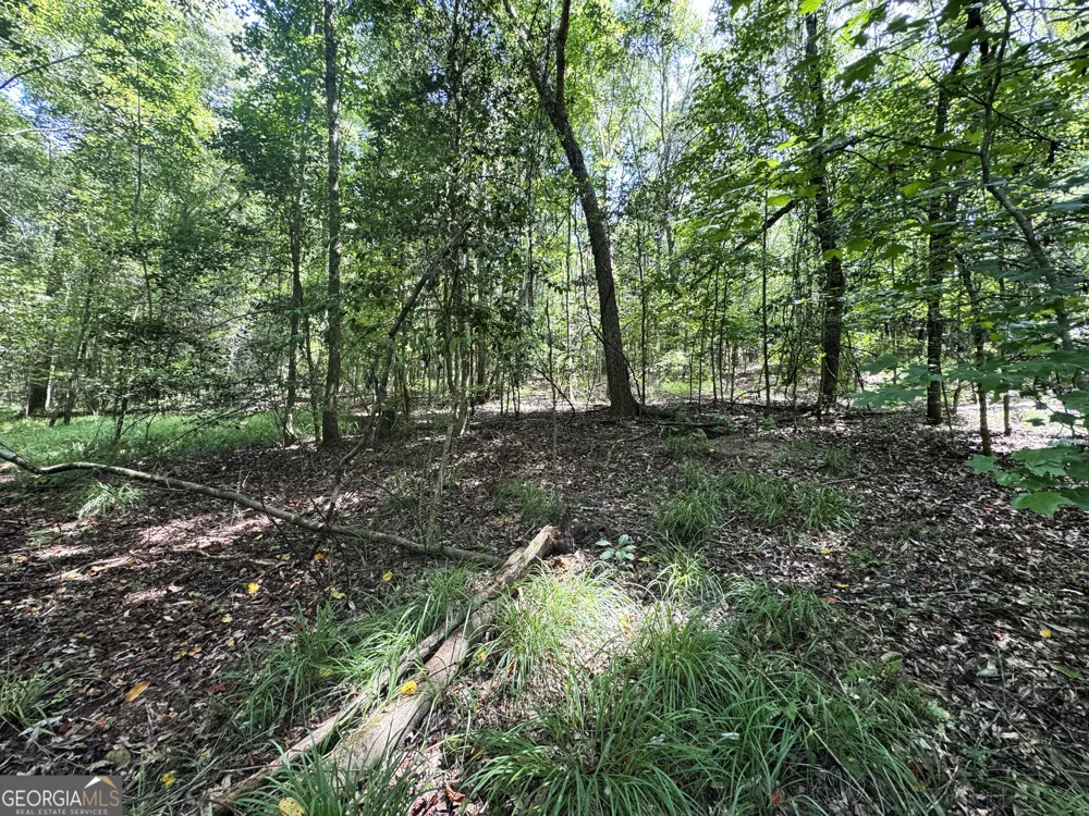 0 Wooten RD Cuthbert, GA 39840