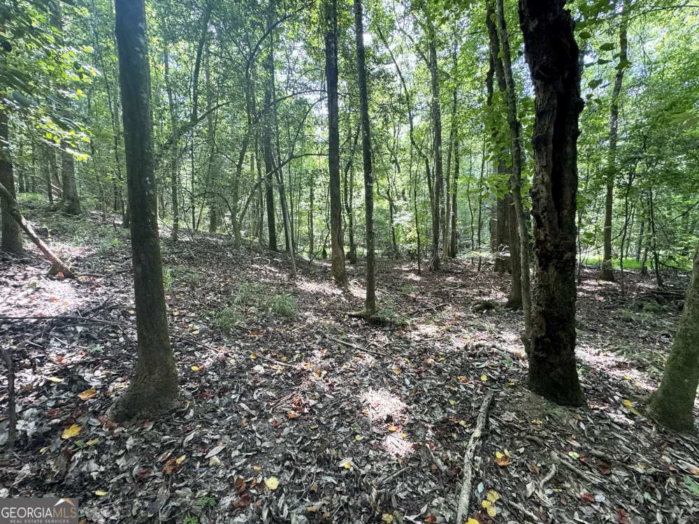0 Wooten RD Cuthbert, GA 39840