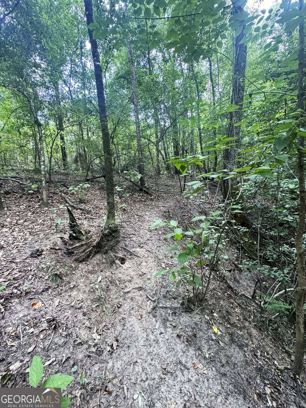 0 Wooten RD Cuthbert, GA 39840