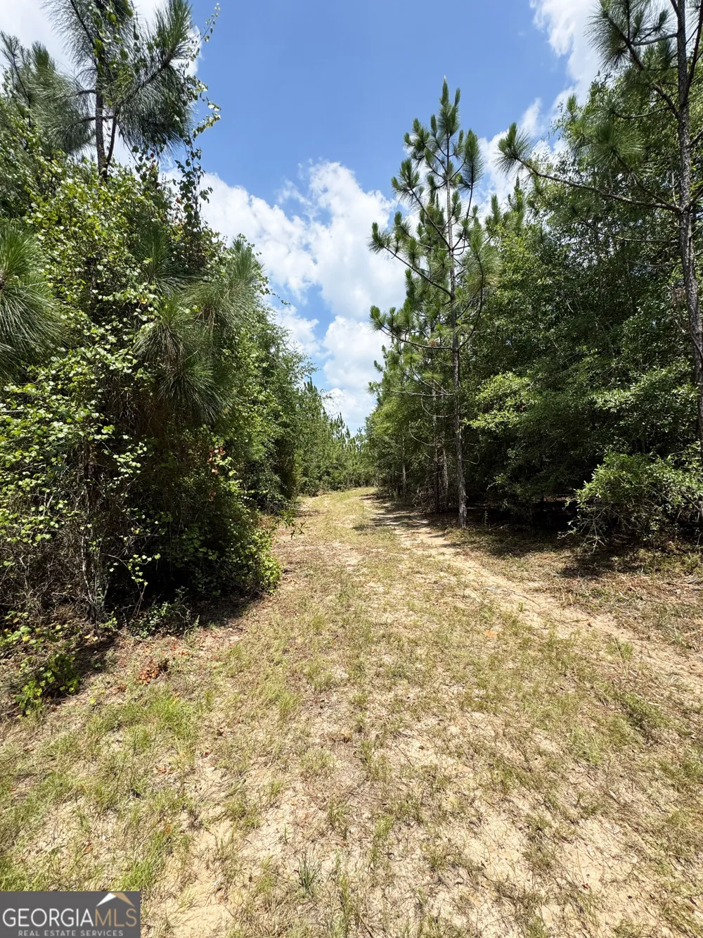 0 Wooten RD Cuthbert, GA 39840
