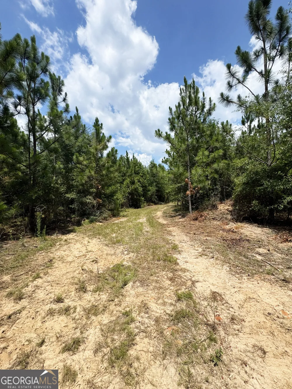 0 Wooten RD Cuthbert, GA 39840