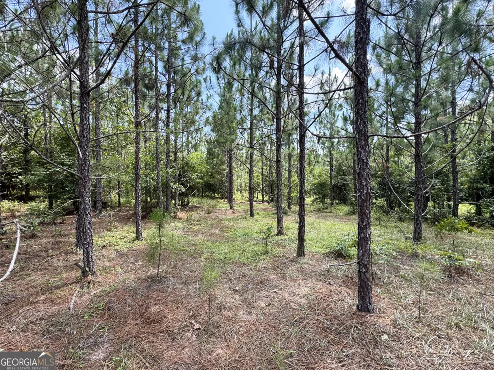 0 Wooten RD Cuthbert, GA 39840