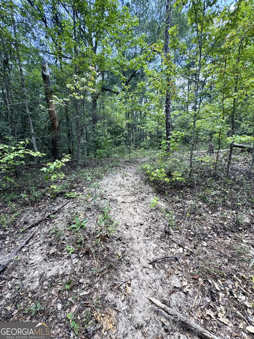 0 Wooten RD Cuthbert, GA 39840