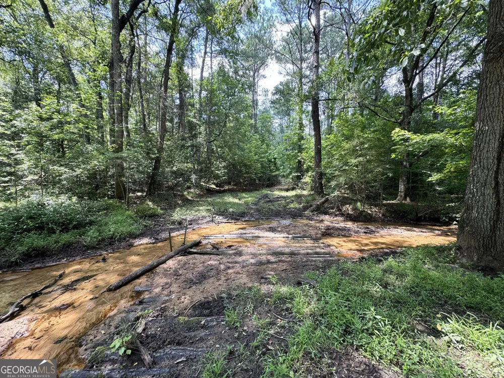 0 Wooten RD Cuthbert, GA 39840
