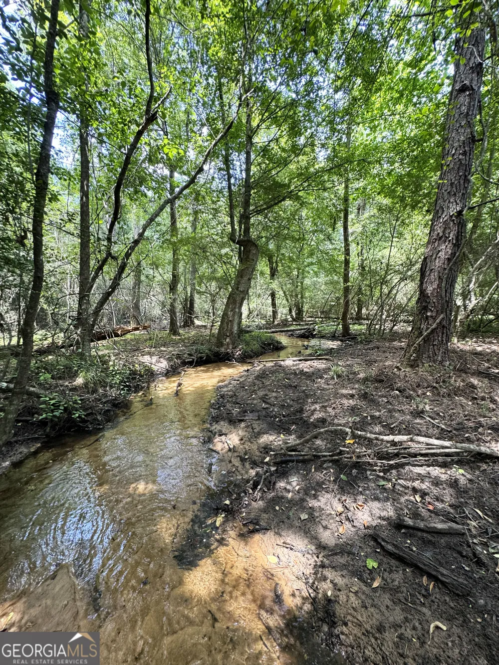 0 Wooten RD Cuthbert, GA 39840