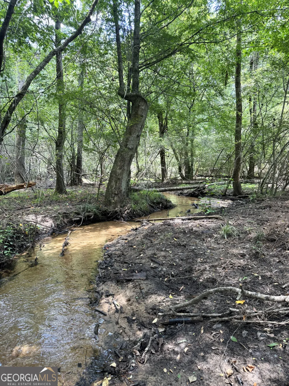 0 Wooten RD Cuthbert, GA 39840