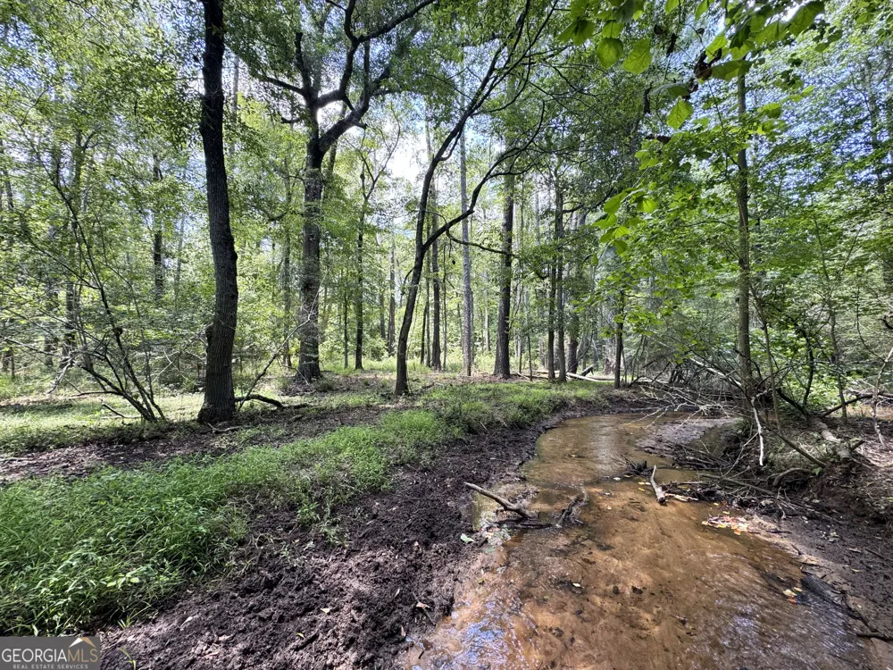 0 Wooten RD Cuthbert, GA 39840
