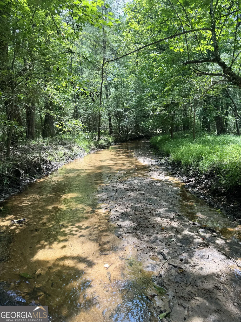0 Wooten RD Cuthbert, GA 39840