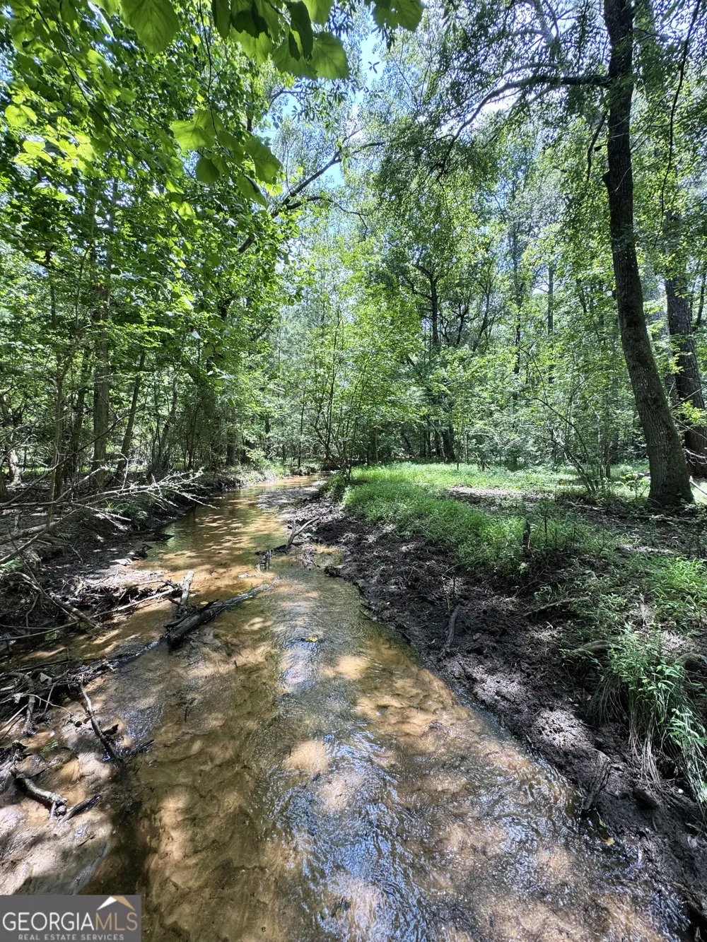 0 Wooten RD Cuthbert, GA 39840