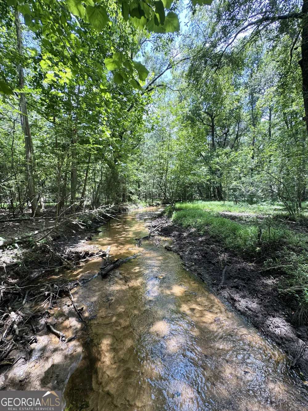 0 Wooten RD Cuthbert, GA 39840