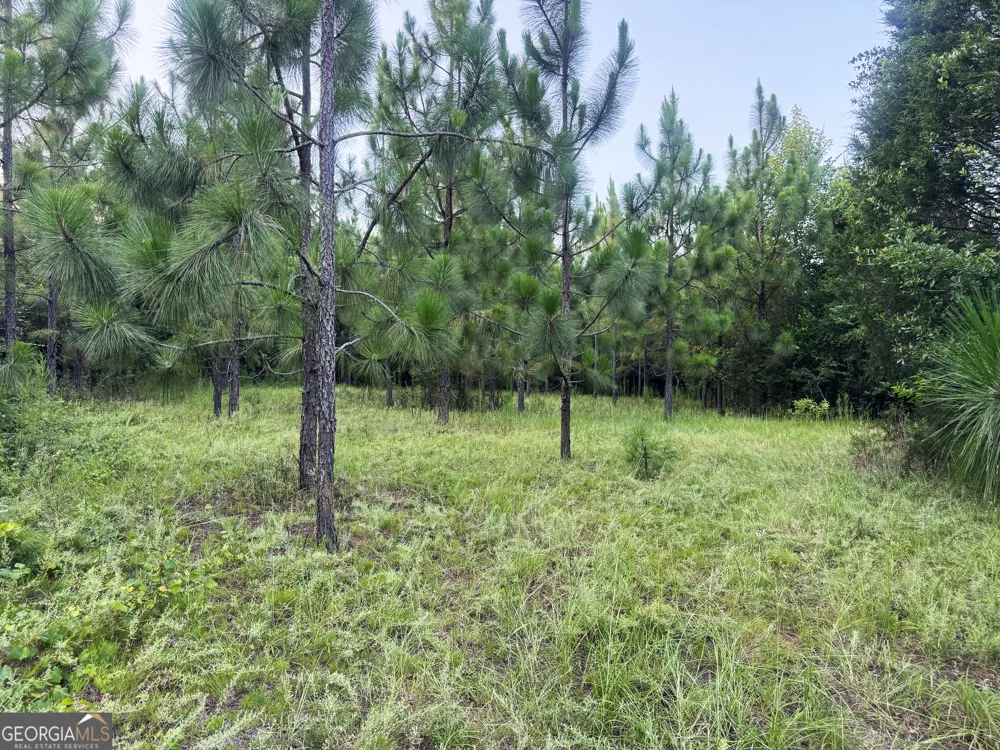 0 Wooten RD Cuthbert, GA 39840