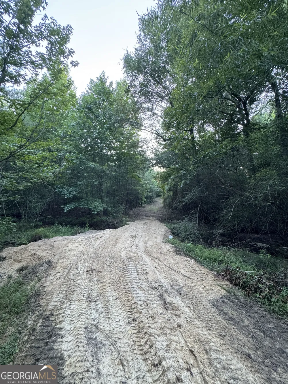 0 Wooten RD Cuthbert, GA 39840