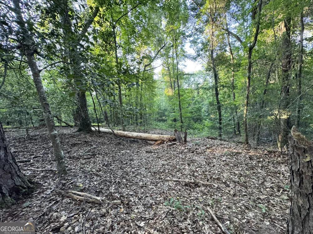 0 Wooten RD Cuthbert, GA 39840