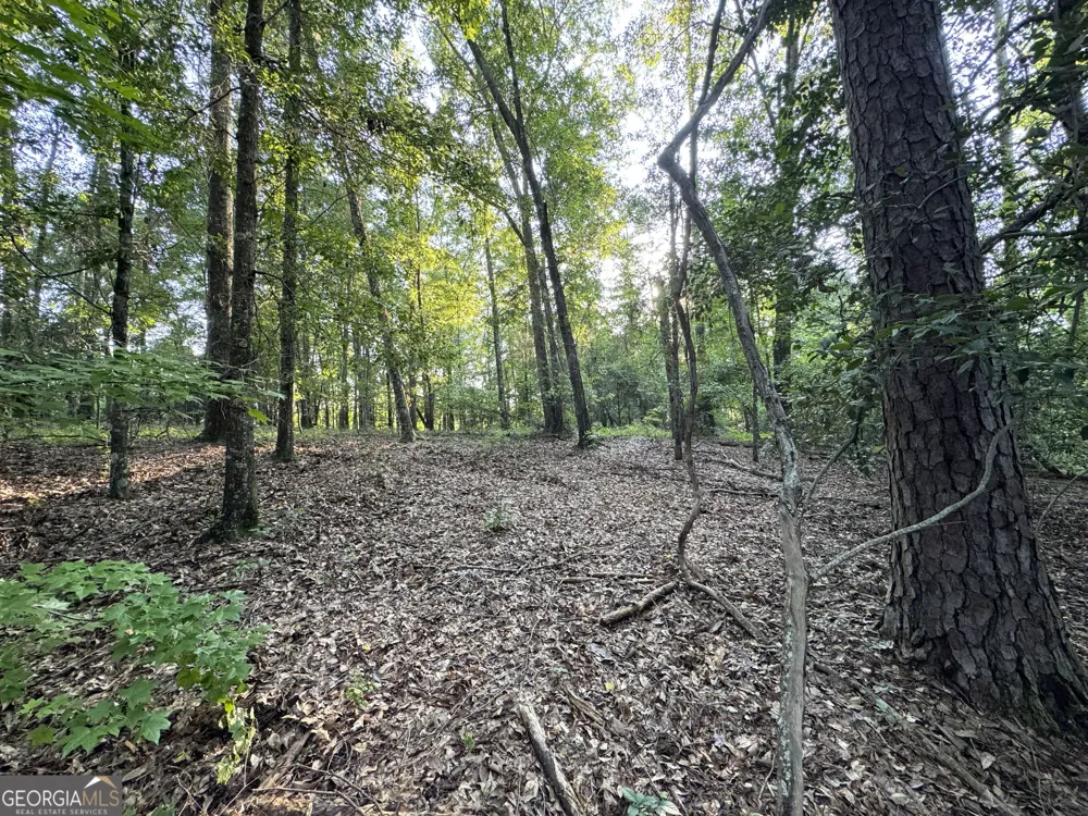 0 Wooten RD Cuthbert, GA 39840