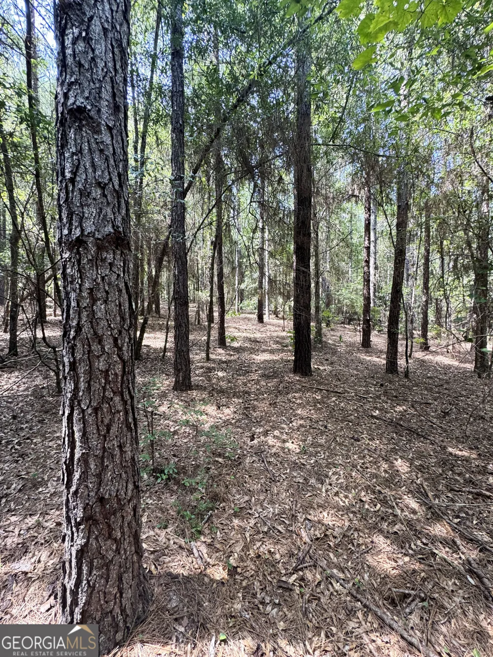 0 Wooten RD Cuthbert, GA 39840