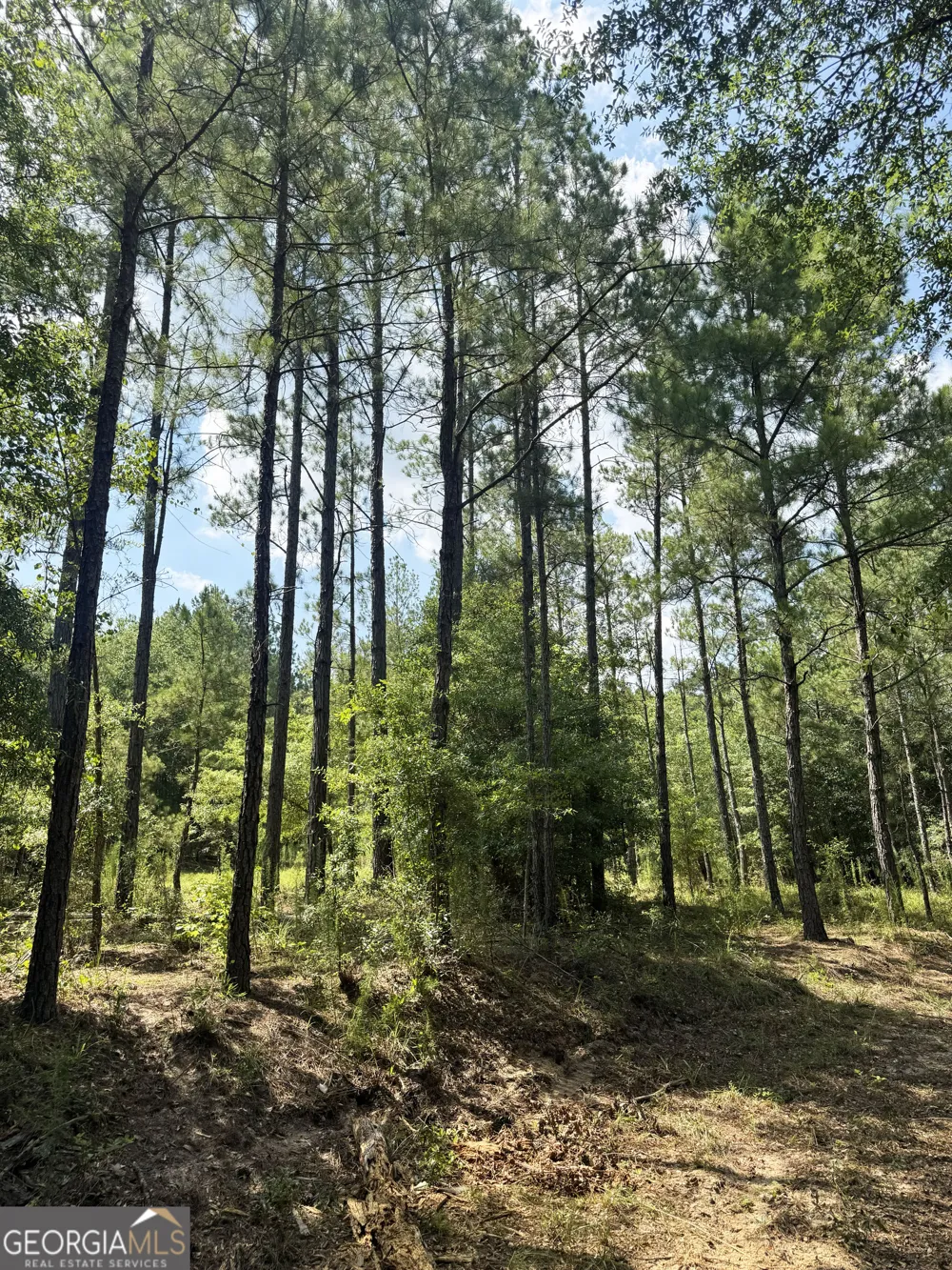 0 Wooten RD Cuthbert, GA 39840