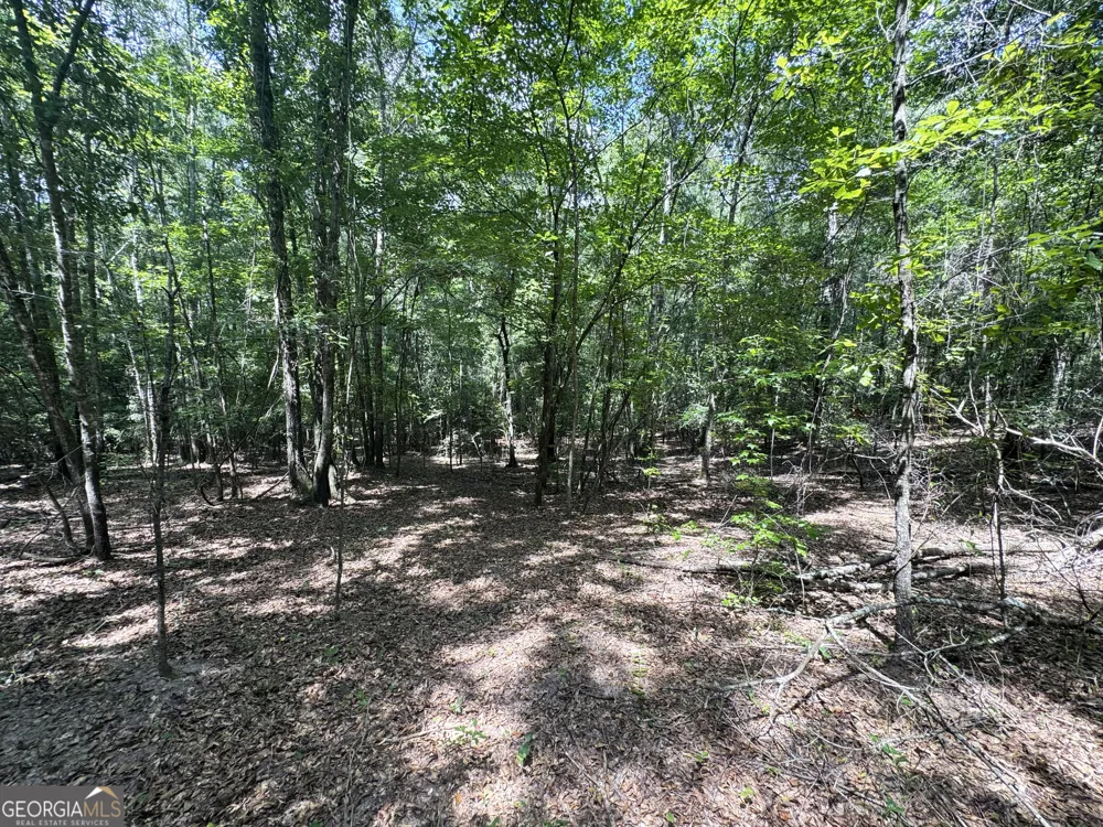 0 Wooten RD Cuthbert, GA 39840