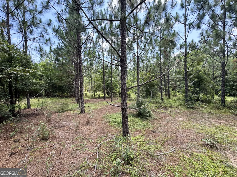 0 Wooten RD Cuthbert, GA 39840