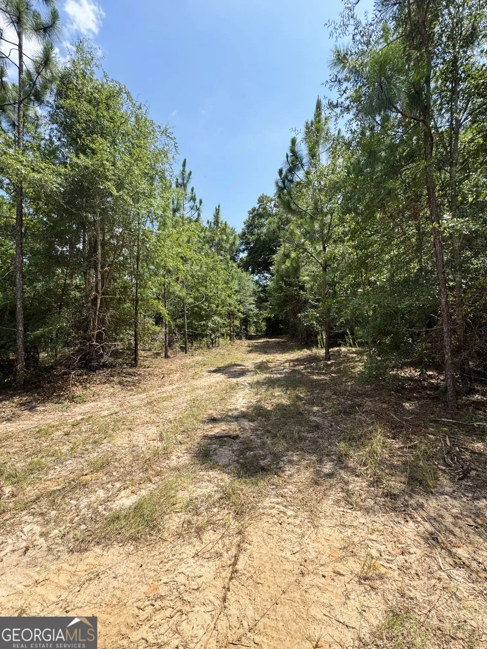 0 Wooten RD Cuthbert, GA 39840
